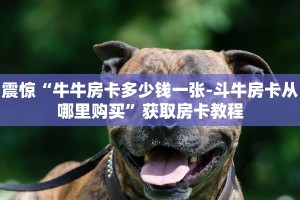 游戏测评“微信斗牛房卡怎么弄的 ”使用房卡购买教程