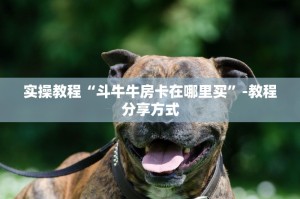 完美解答“微信牛牛链接房卡在哪里弄”获取使用方式