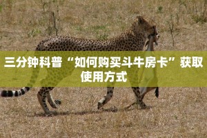 完美解答“牛魔王大厅牛牛房卡怎么买”购买房卡介绍