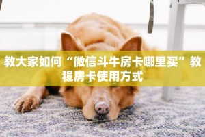 玩家攻略“4分钟教大家!炸金花房卡链接如何买”购买房卡介绍