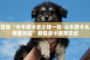 震惊“牛牛房卡多少钱一张-斗牛房卡从哪里购买”教程房卡使用方式
