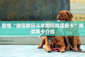 教大家如何“微信链接拼三张如何购买房卡”教程房卡使用方式
