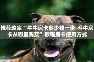 推荐这家“牛牛房卡多少钱一张-斗牛房卡从哪里购买”教程房卡使用方式