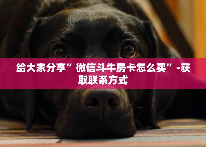 给大家分享”微信斗牛房卡怎么买”-获取联系方式