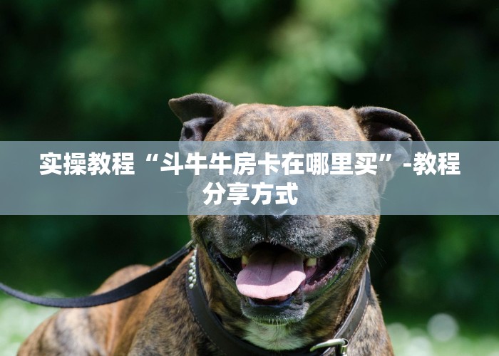 经验分享“炸金花房卡找谁充值”教程房卡使用方式