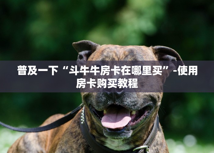 一分钟教大家“微信牛魔王牛牛房卡购买”终于获取使用方式