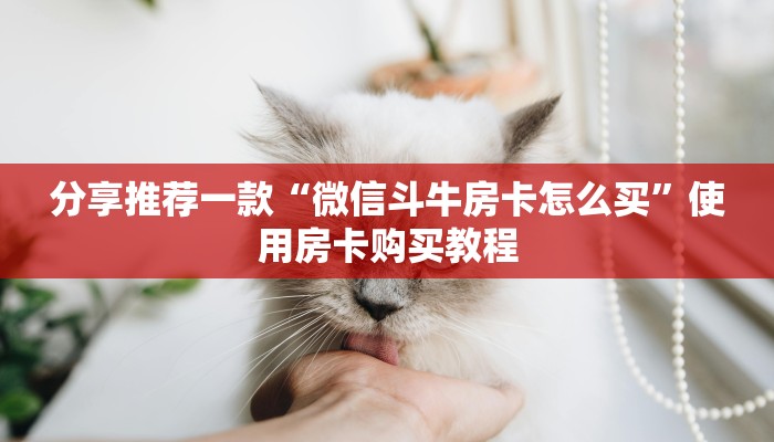 两分钟攻略“必备教程“微信房卡拼三张链接”获取房卡教程