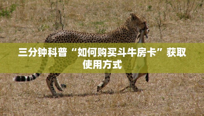 完美解答“牛魔王大厅牛牛房卡怎么买”购买房卡介绍