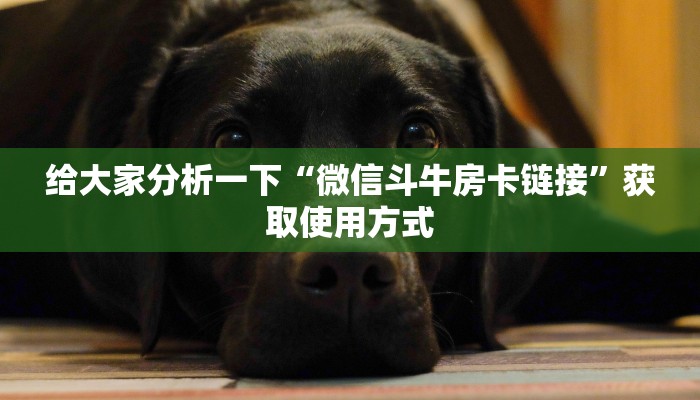 今日通报“怎么买皇豪互娱房卡”获取使用方式