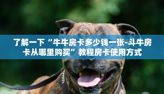 了解一下“牛牛房卡多少钱一张-斗牛房卡从哪里购买”教程房卡使用方式