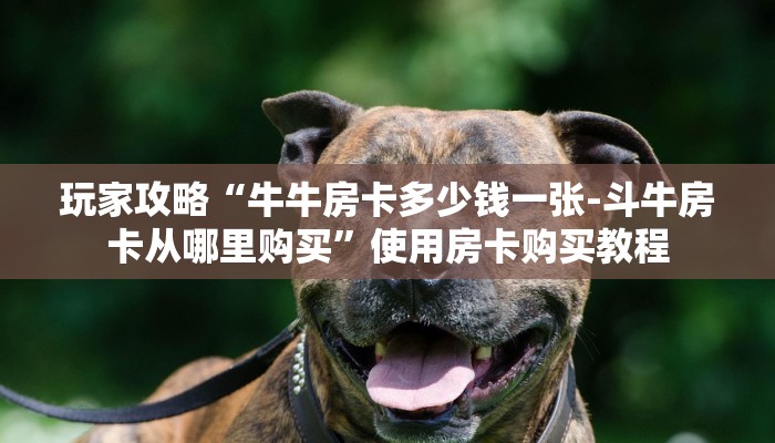 游戏测评“有微信炸金花房卡怎么买房卡”购买房卡介绍