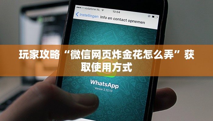 玩家攻略“微信网页炸金花怎么弄”获取使用方式