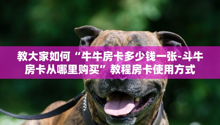 教大家如何“牛牛房卡多少钱一张-斗牛房卡从哪里购买”教程房卡使用方式