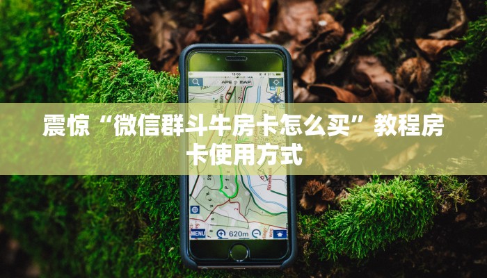 震惊“微信群斗牛房卡怎么买”教程房卡使用方式