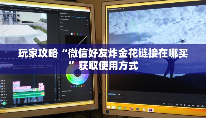 玩家攻略“微信好友炸金花链接在哪买”获取使用方式