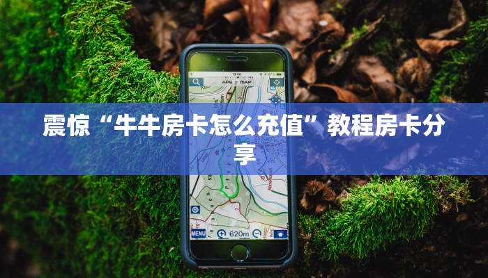 震惊“牛牛房卡怎么充值”教程房卡分享