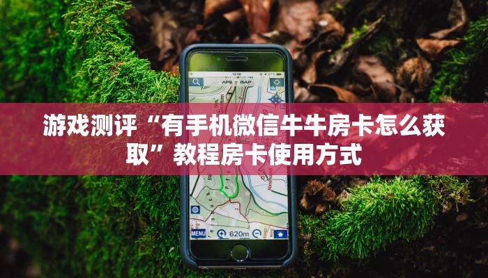 游戏测评“有手机微信牛牛房卡怎么获取”教程房卡使用方式