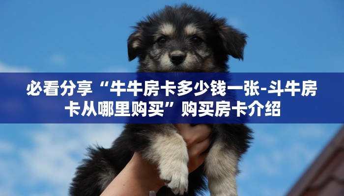 必看分享“牛牛房卡多少钱一张-斗牛房卡从哪里购买”购买房卡介绍