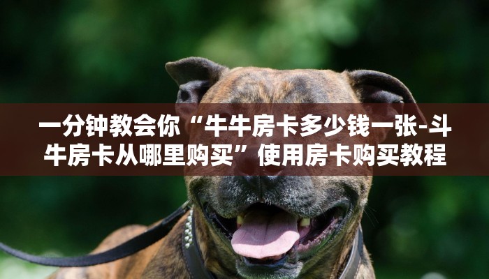 一分钟教会你“牛牛房卡多少钱一张-斗牛房卡从哪里购买”使用房卡购买教程