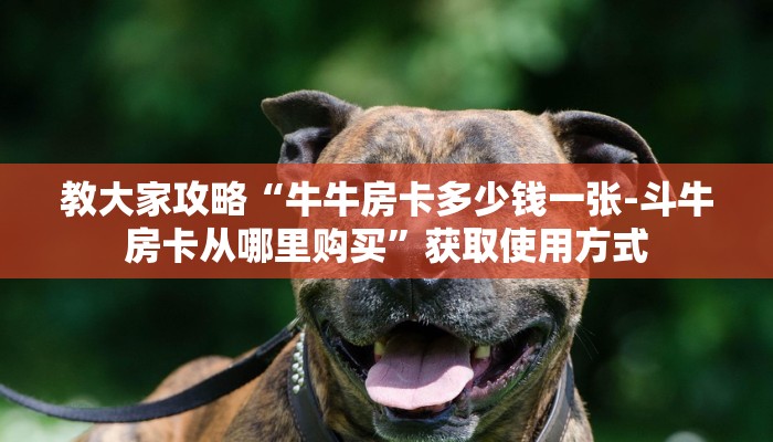 教大家攻略“牛牛房卡多少钱一张-斗牛房卡从哪里购买”获取使用方式