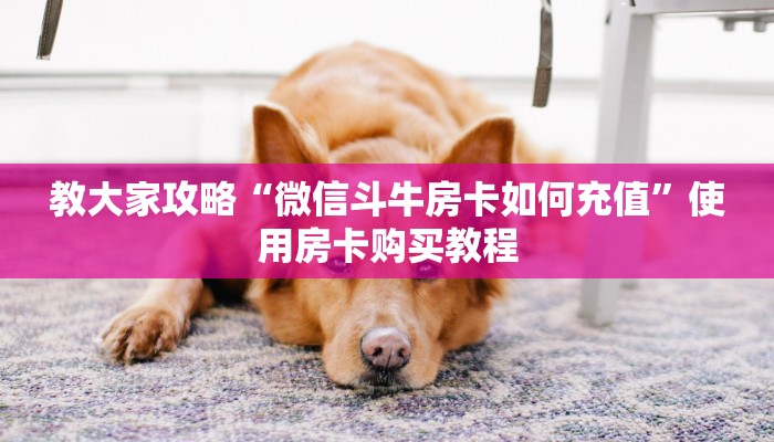 原来在这“微信链接炸金花买房卡”获取房卡教程