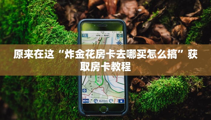 原来在这“炸金花房卡去哪买怎么搞”获取房卡教程